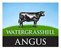 Watergrasshill Angus Logo